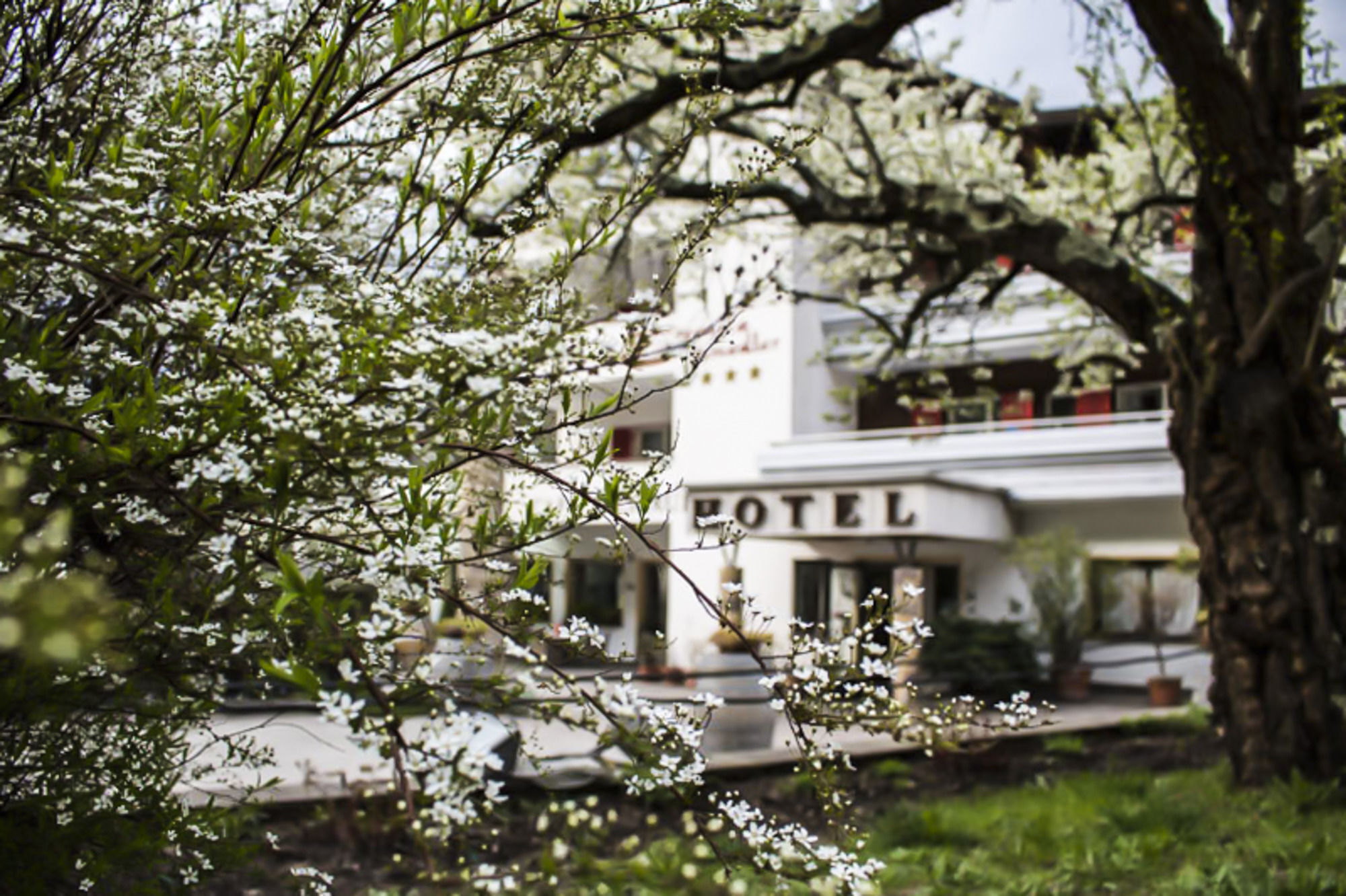 Prinz Rudolf Smart Hotel Merano Exterior photo